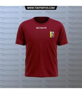 Polera Cuello redondo- Entrenamiento Seleccion Venezuela