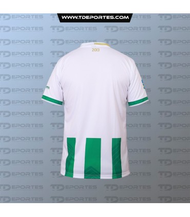 Camiseta Vallenar titular 2021-  blanca con franjas verdes